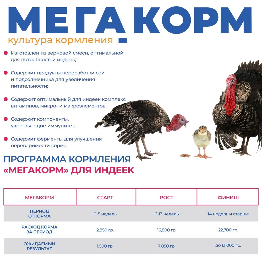 Комбикорм МегаКорм для индеек Рост ПК-12-1 (6-13 недель) 25кг — изображение 2